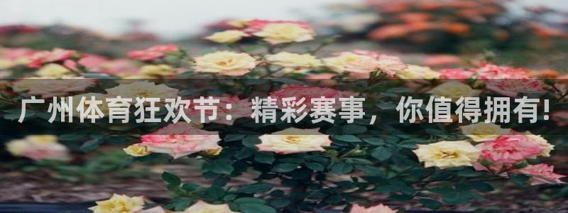 体育新闻