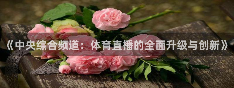 黑白直播在线篮球