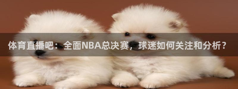 黑白直播免费体育直播