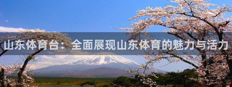 体育新闻